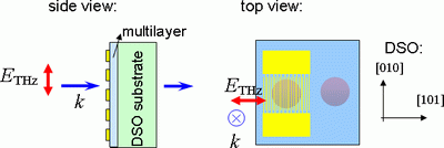 The sample geometry for investigation under bias electric field.